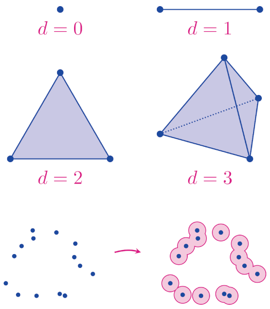 位相的データ解析　イメージ画像